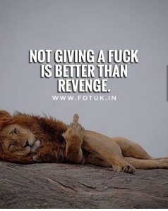 attitude quotes in english for boys with lion