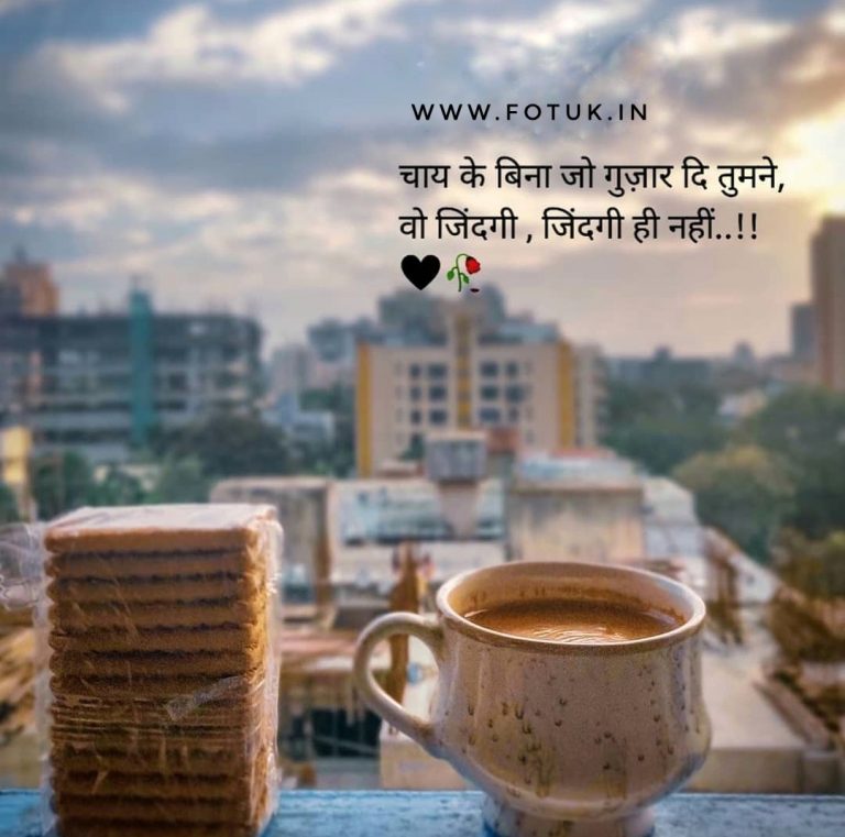 Chai shayari ideas in 2021 | chai quotes, tea lover ...